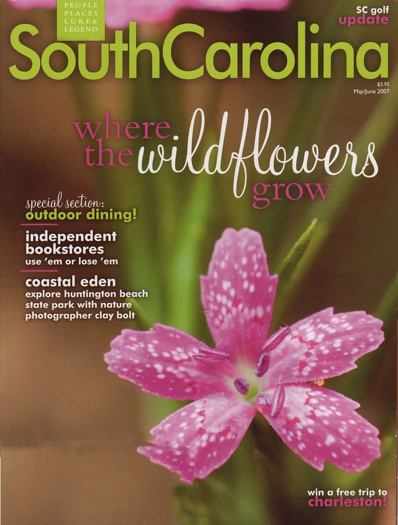 Herlong Architects featured in South Carolina